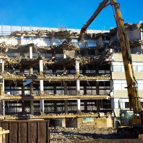 pexels-mikebirdy-11521973